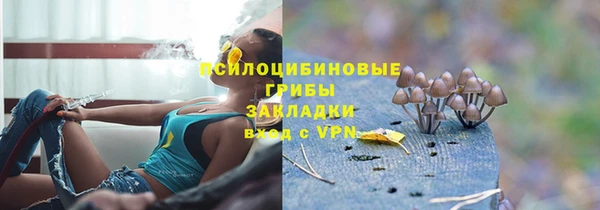 ALPHA PVP Алексин