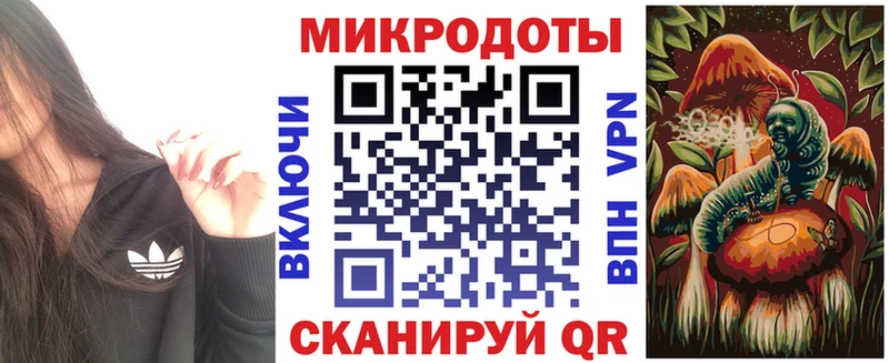 блэк спрут что такое Южно-Сухокумск Псилоцибиновые грибы прущие грибы